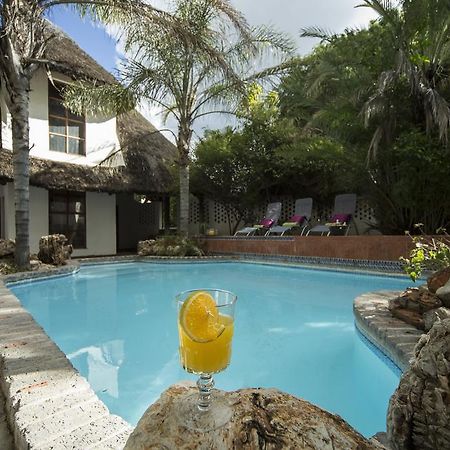 Out Of Africa Guesthouse Otjiwarongo Zewnętrze zdjęcie